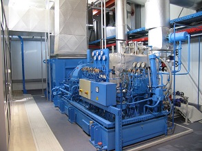 Biomass cogeneration plant 293x220